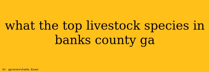 what the top livestock species in banks county ga