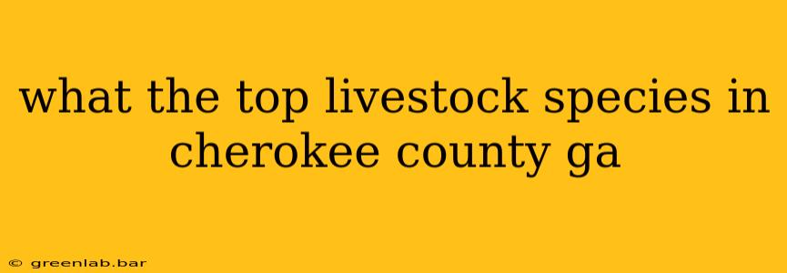 what the top livestock species in cherokee county ga