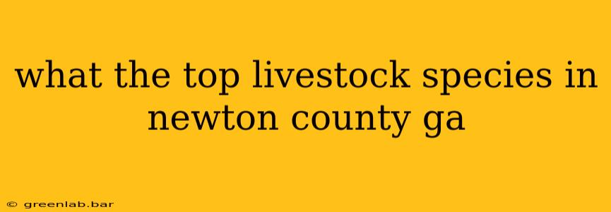 what the top livestock species in newton county ga