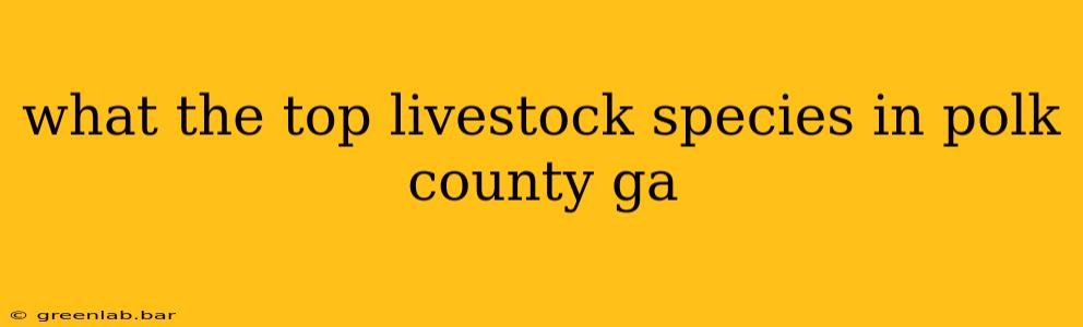 what the top livestock species in polk county ga