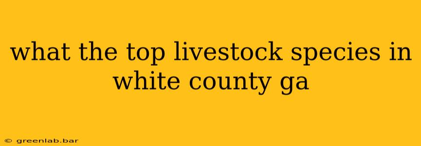 what the top livestock species in white county ga