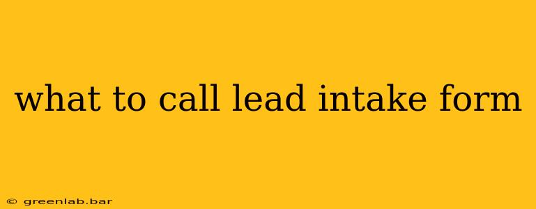 what to call lead intake form