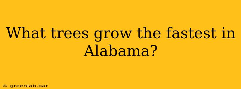 What trees grow the fastest in Alabama?