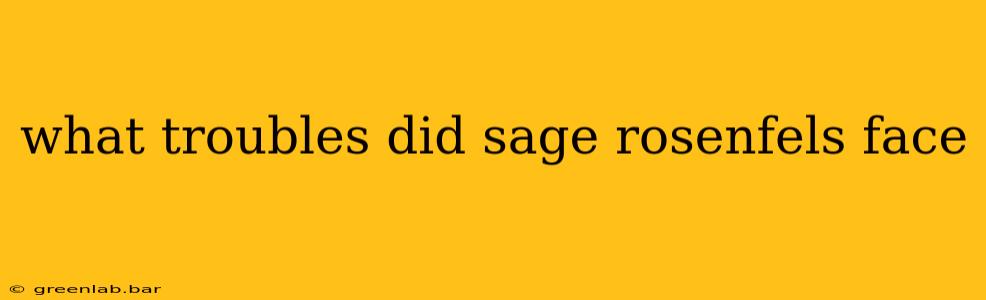 what troubles did sage rosenfels face