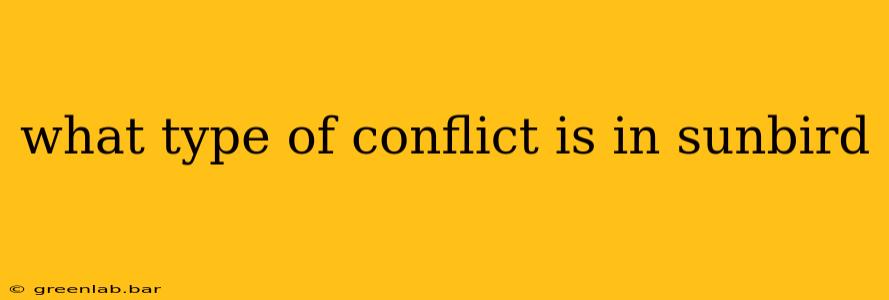 what type of conflict is in sunbird