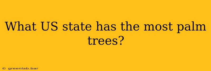 What US state has the most palm trees?