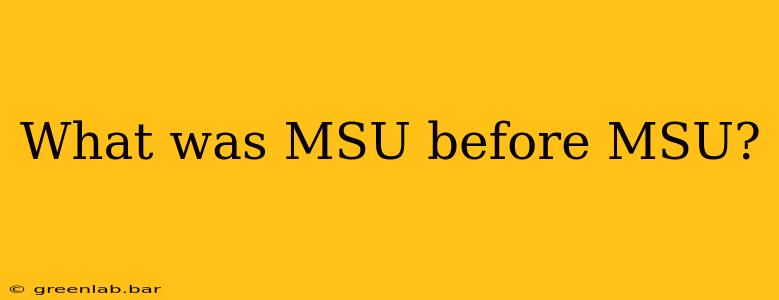 What was MSU before MSU?