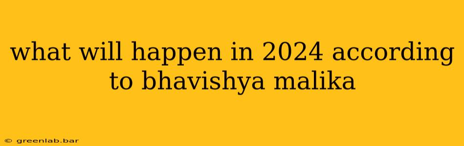 what will happen in 2024 according to bhavishya malika