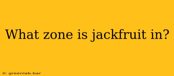 What zone is jackfruit in?