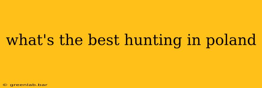 what's the best hunting in poland