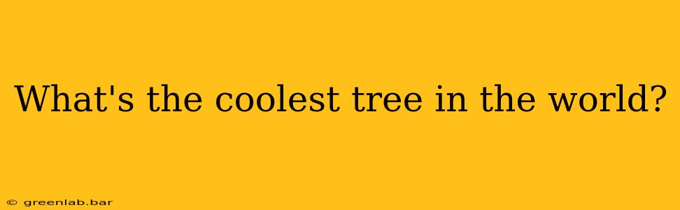 What's the coolest tree in the world?