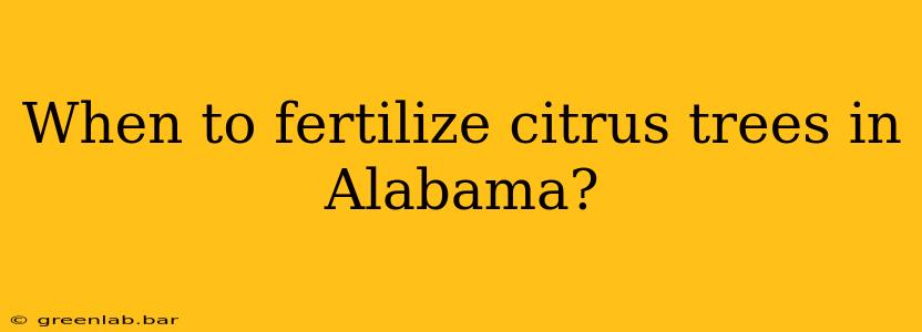 When to fertilize citrus trees in Alabama?