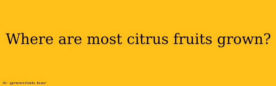 Where are most citrus fruits grown?