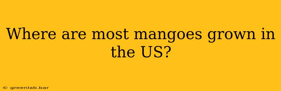 Where are most mangoes grown in the US?