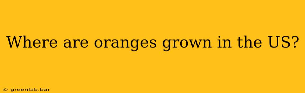 Where are oranges grown in the US?