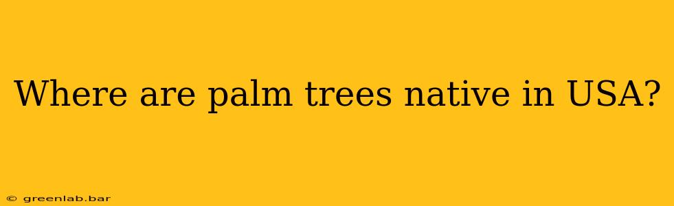 Where are palm trees native in USA?