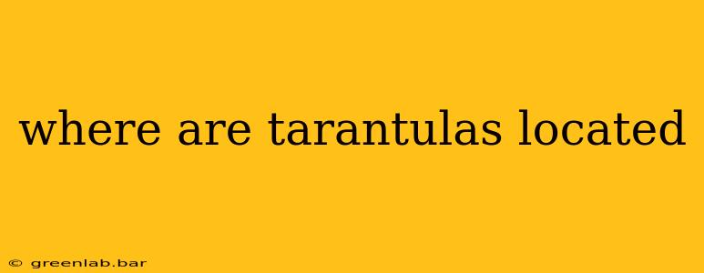 where are tarantulas located