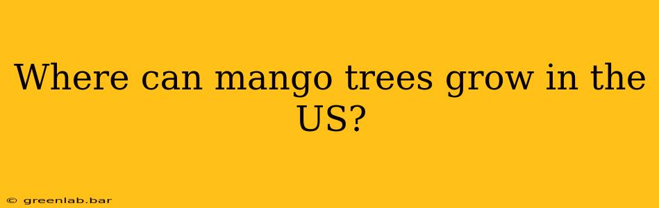 Where can mango trees grow in the US?