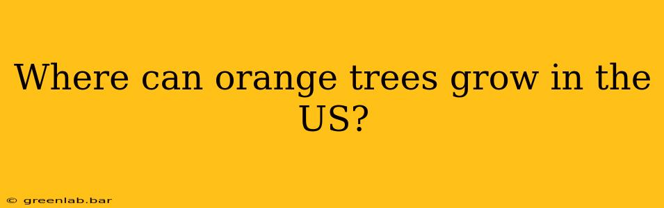 Where can orange trees grow in the US?