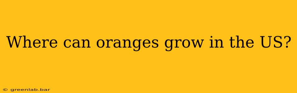 Where can oranges grow in the US?