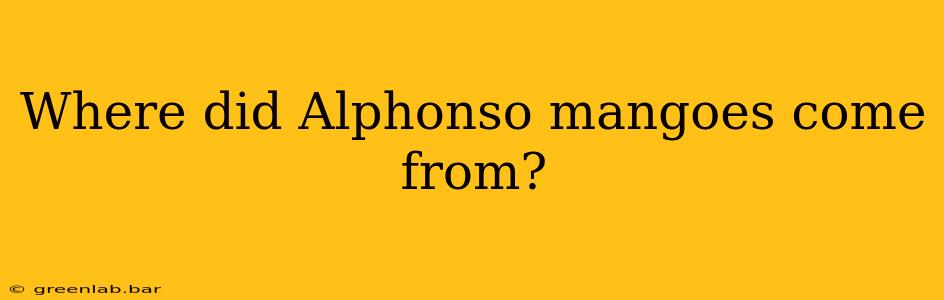 Where did Alphonso mangoes come from?