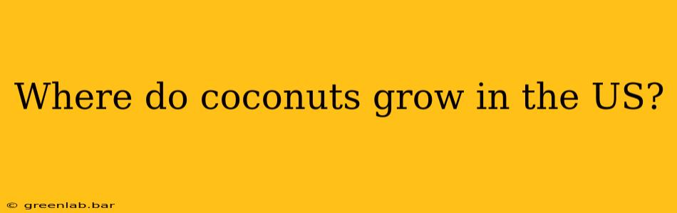 Where do coconuts grow in the US?