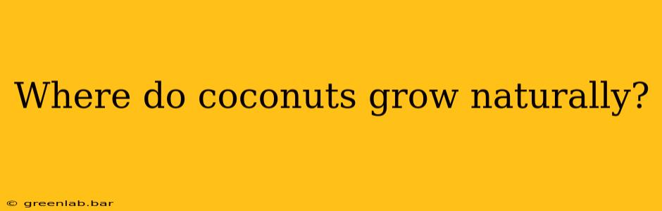 Where do coconuts grow naturally?