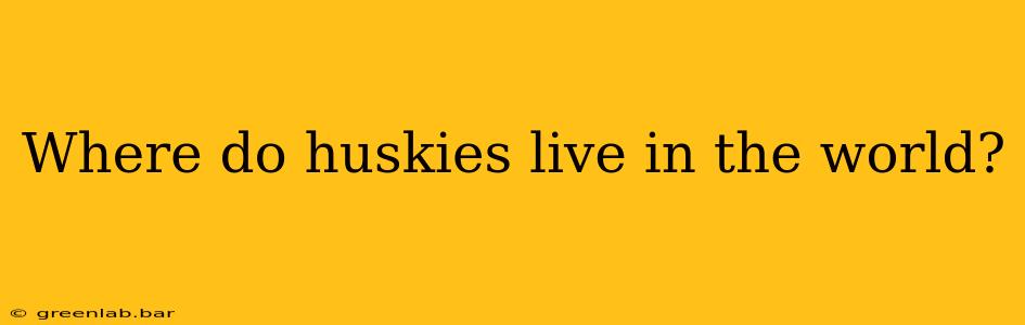 Where do huskies live in the world?