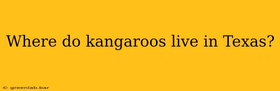 Where do kangaroos live in Texas?