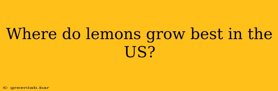 Where do lemons grow best in the US?