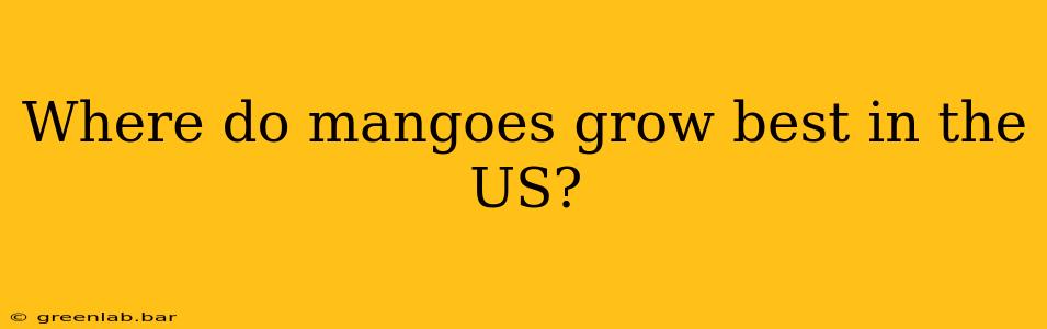 Where do mangoes grow best in the US?