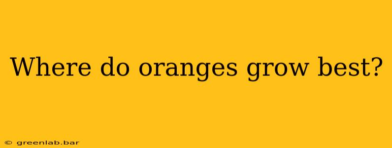 Where do oranges grow best?