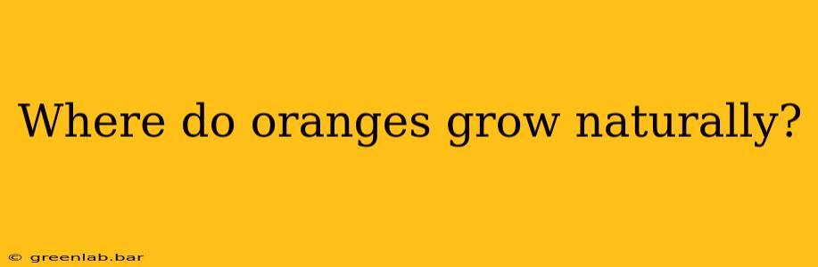 Where do oranges grow naturally?