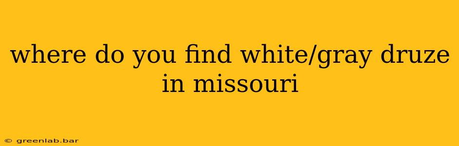 where do you find white/gray druze in missouri