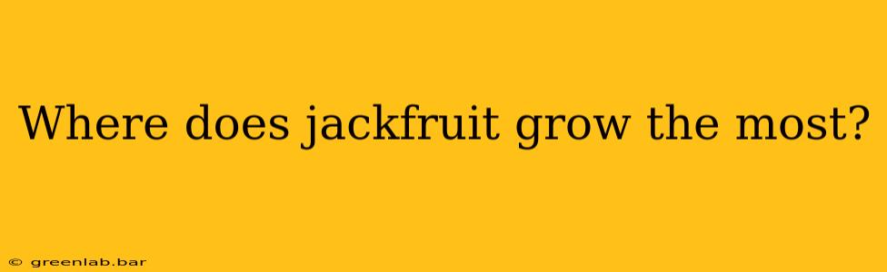 Where does jackfruit grow the most?