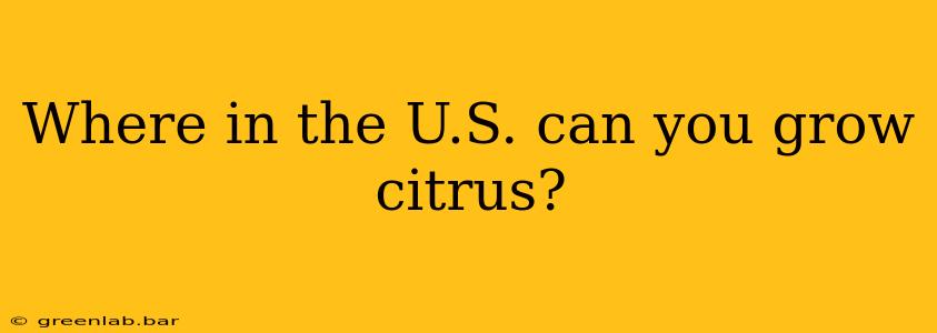 Where in the U.S. can you grow citrus?