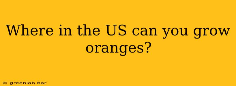 Where in the US can you grow oranges?