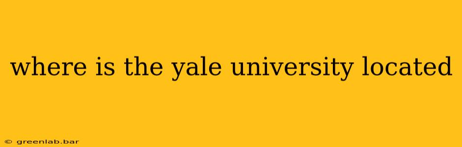 where is the yale university located