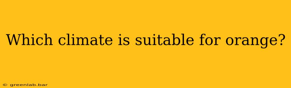 Which climate is suitable for orange?