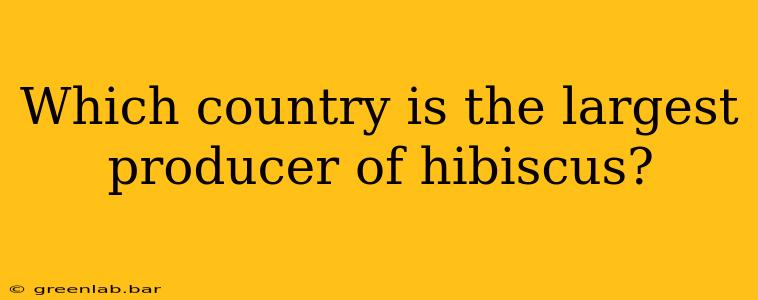 Which country is the largest producer of hibiscus?