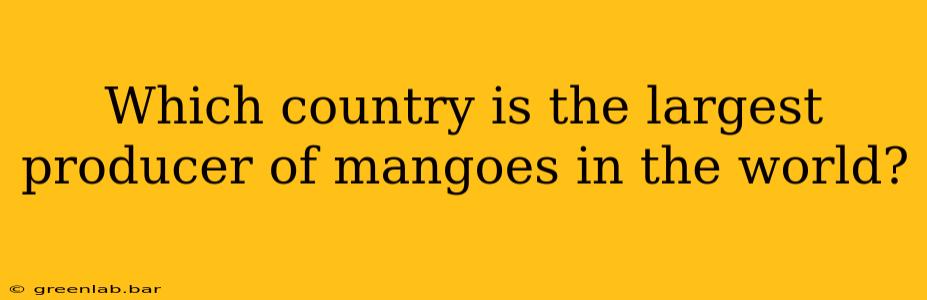 Which country is the largest producer of mangoes in the world?