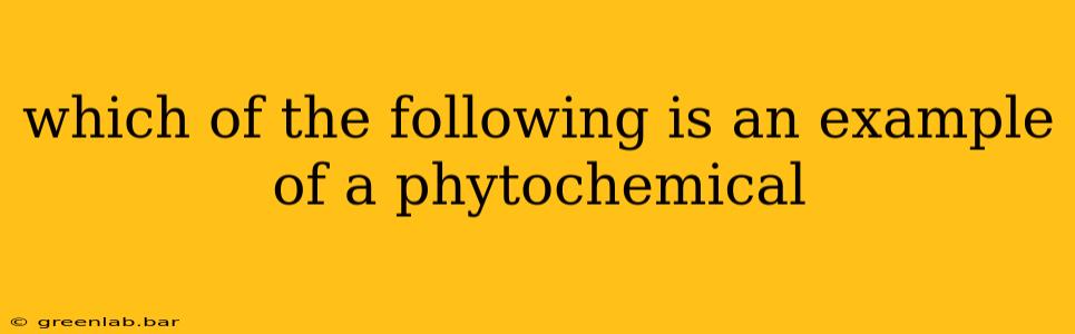 which of the following is an example of a phytochemical