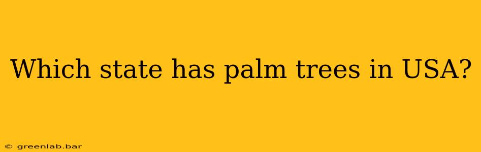 Which state has palm trees in USA?