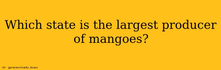 Which state is the largest producer of mangoes?