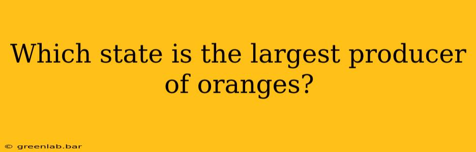 Which state is the largest producer of oranges?