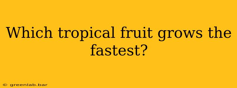 Which tropical fruit grows the fastest?