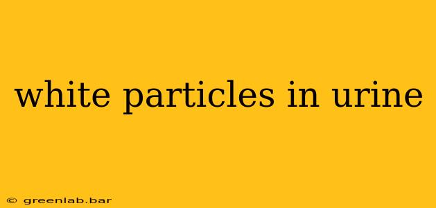 white particles in urine