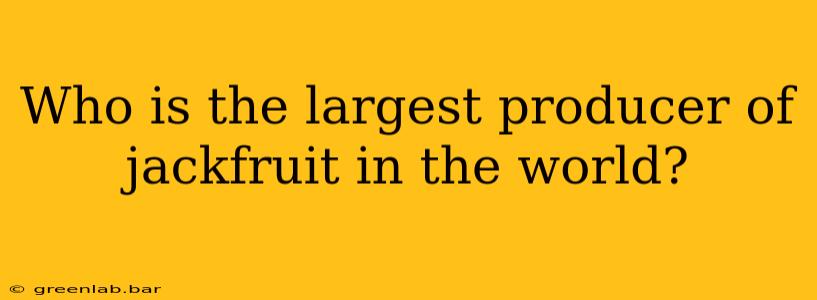 Who is the largest producer of jackfruit in the world?