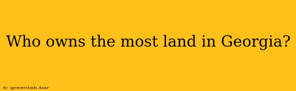 Who owns the most land in Georgia?