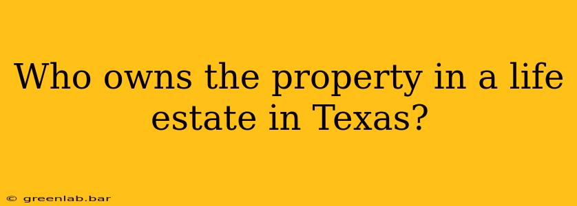 Who owns the property in a life estate in Texas?